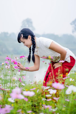 极光aurora佛跳墙安装指引